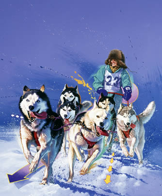 Huskies von Alfons Kiefer