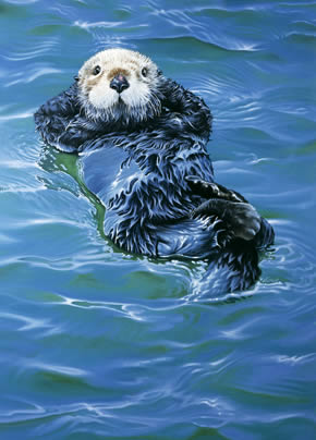 Seeotter von Alfons Kiefer